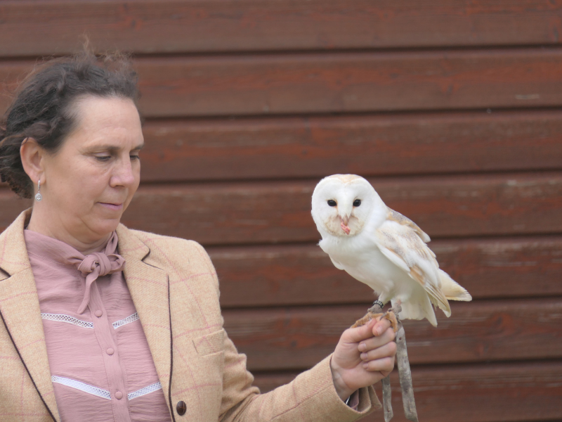 Fête des rapaces et "Spectacle de fauconnerie" à Terres d'Oiseaux, Braud-et-Saint-Louis - photo 6