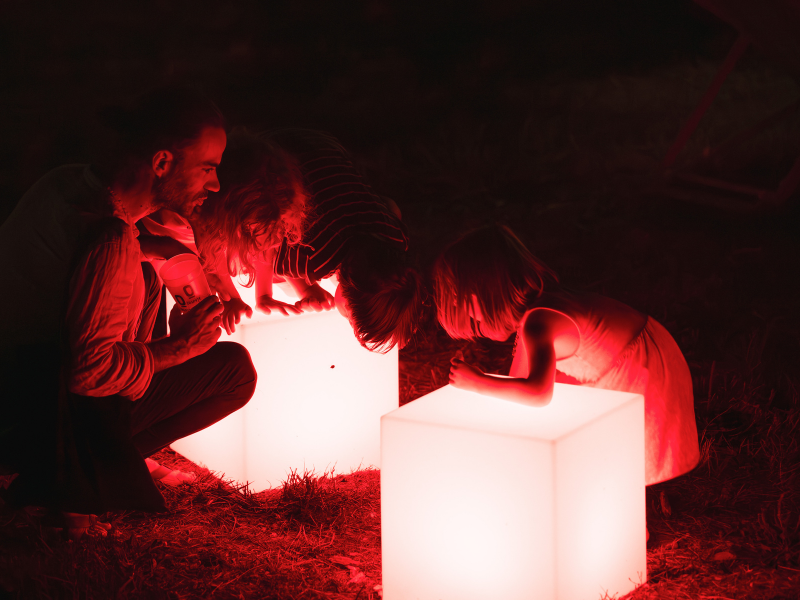 La Nuit des Carrelets, Braud-et-Saint-Louis - photo 13