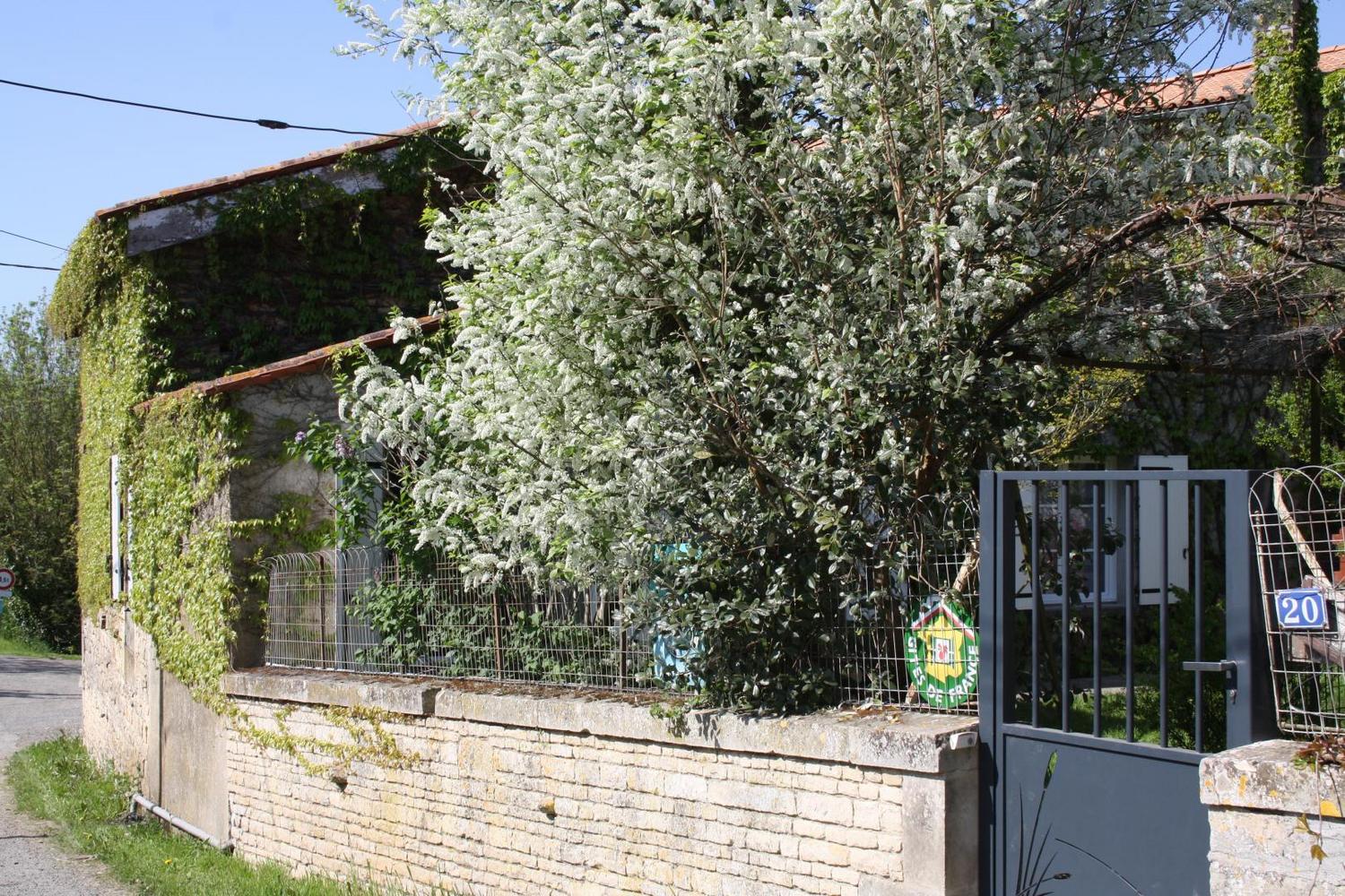 Au port de Cheusse (G 701) - photo 5