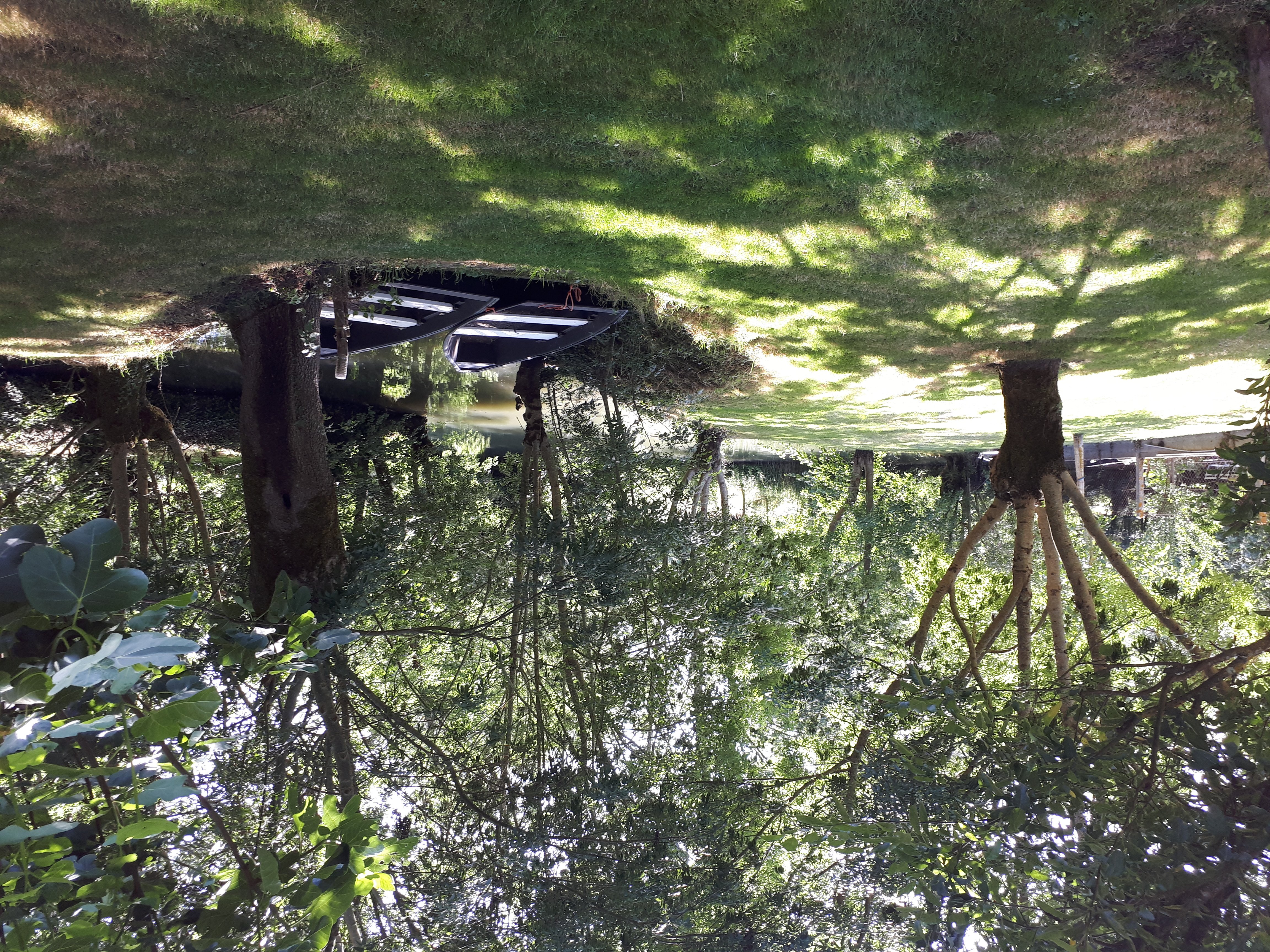 Domaine du Canal - Chambres d'hôtes (n° 2920), Arçais - photo 12