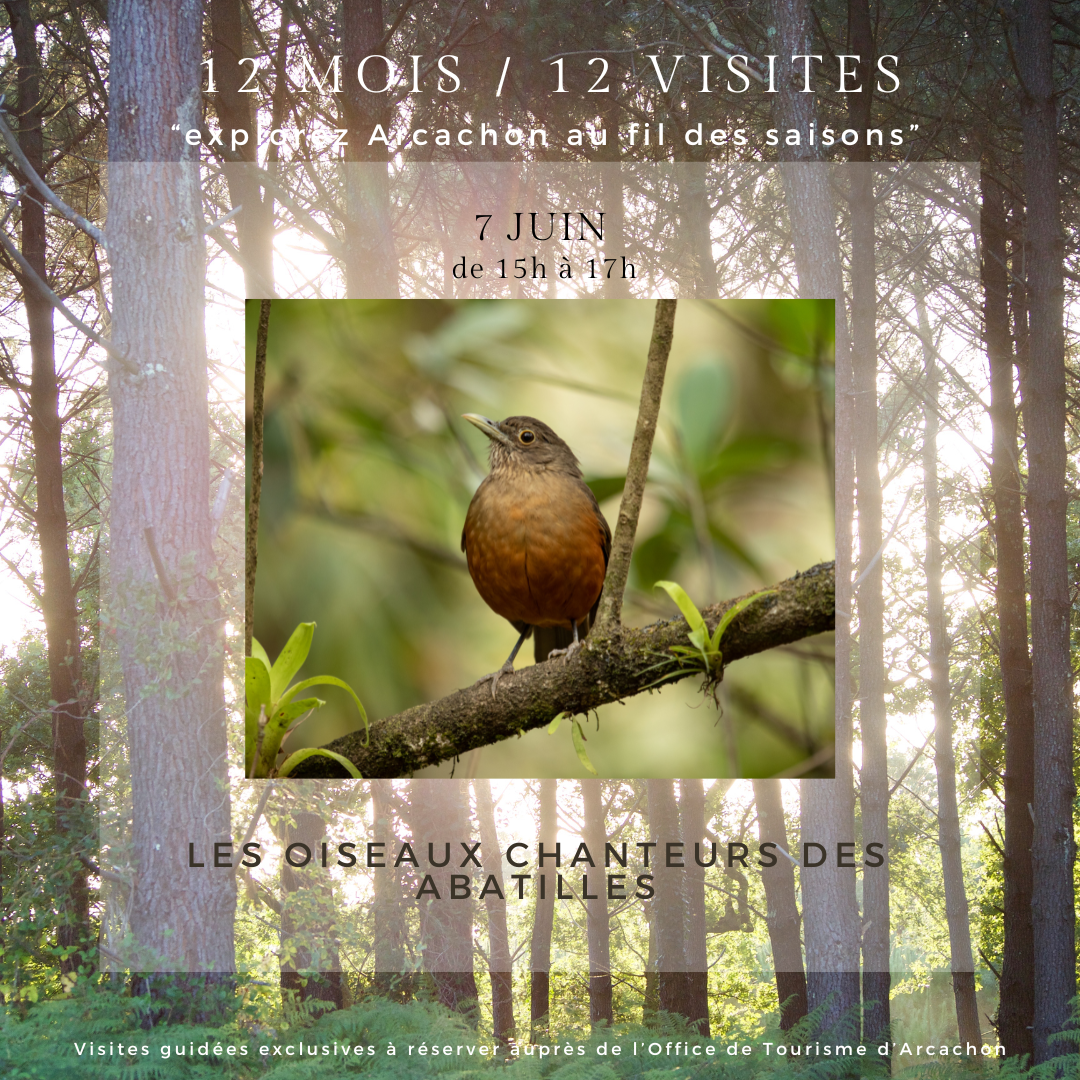 Visite guidée 12 mois/12 : Les oiseaux chanteurs des Abatilles