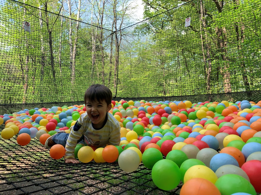Chasse au Trésor Numérique - Parc Aventure 79 Chantemerle - photo 5