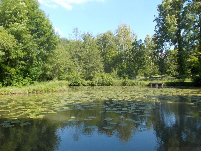 Moulin de Villeverneix - photo 4