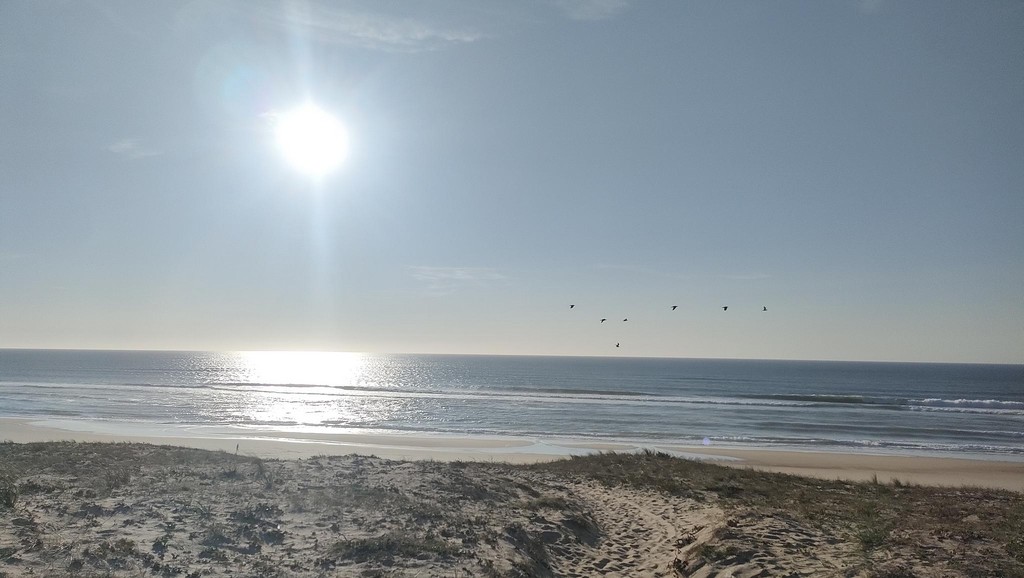 Villa Alice sur le Golf, Moliets-et-Maa - photo 19