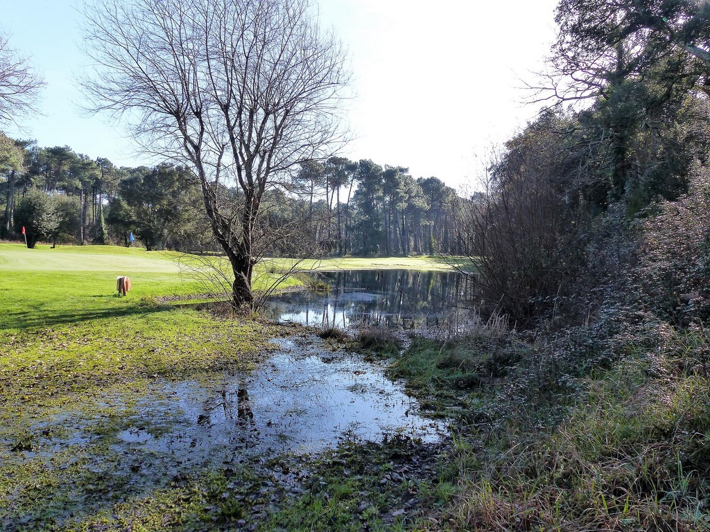 Appartement Isa&Henri, Moliets-et-Maa - photo 20