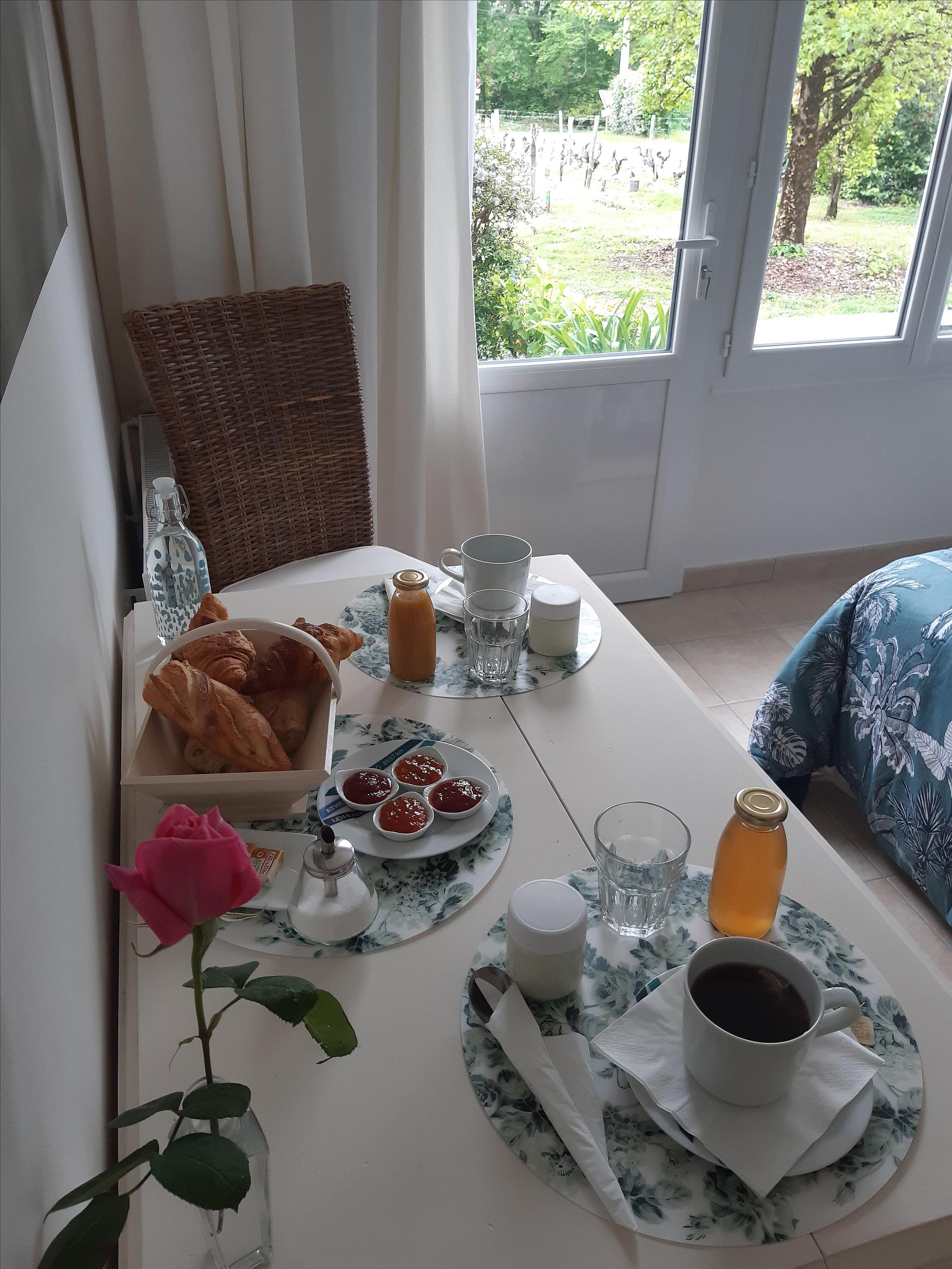 Le Nid dans la Vigne, La Brède - photo 7