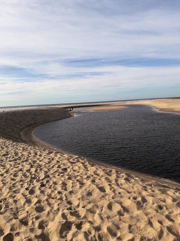 Appartement Isa&Henri, Moliets-et-Maa - photo 6