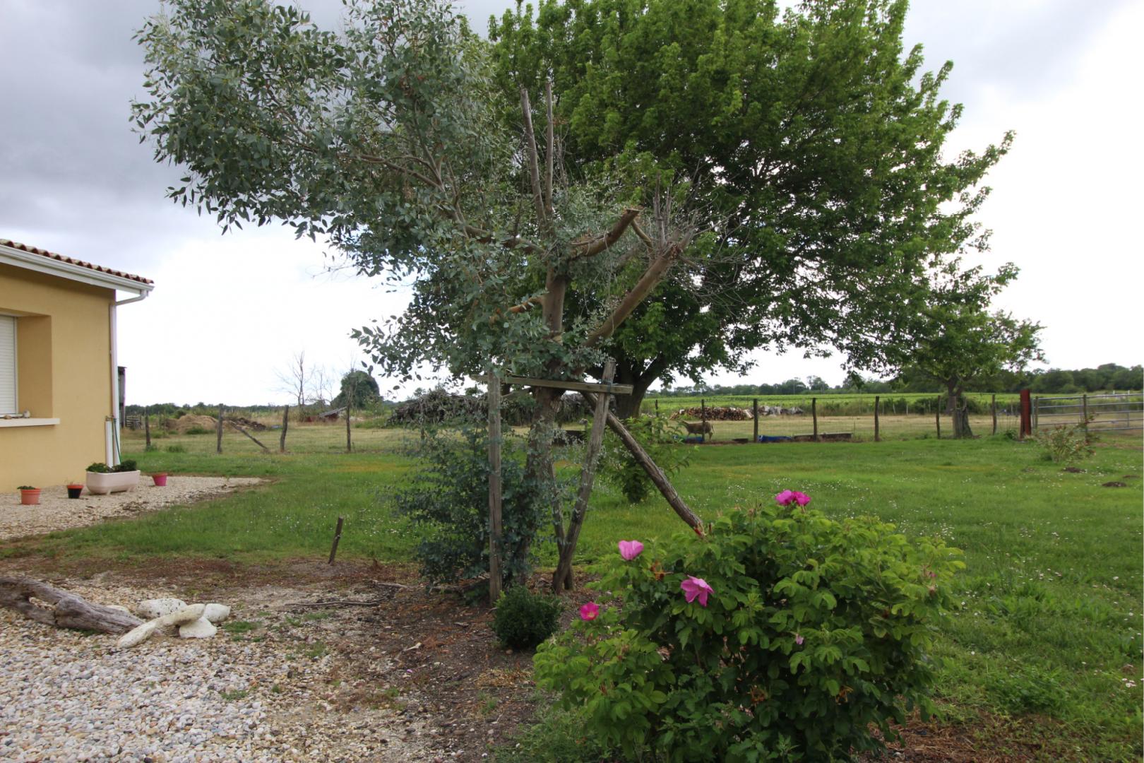 Domaine d'Olga, Queyrac - photo 13