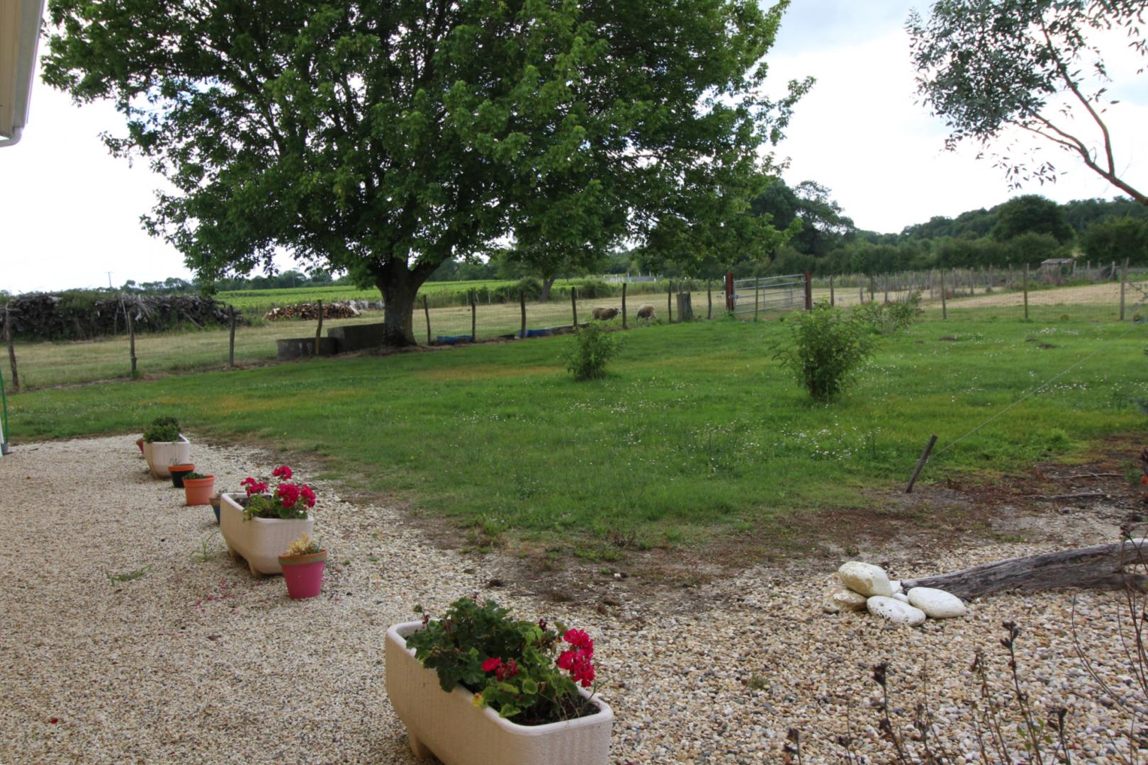 Domaine d'Olga, Queyrac - photo 9