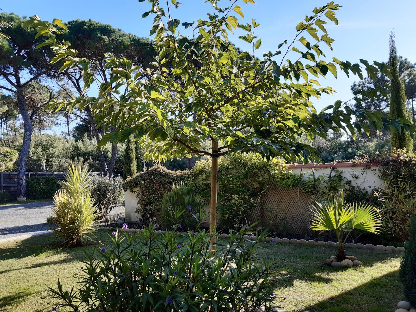 Ma Vie Là, Soulac-sur-Mer - photo 16