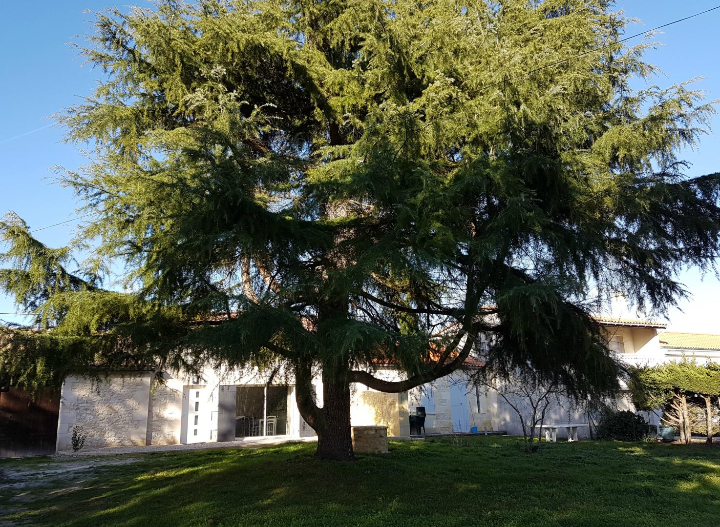 Gîte du Camba, Arcins - photo 7