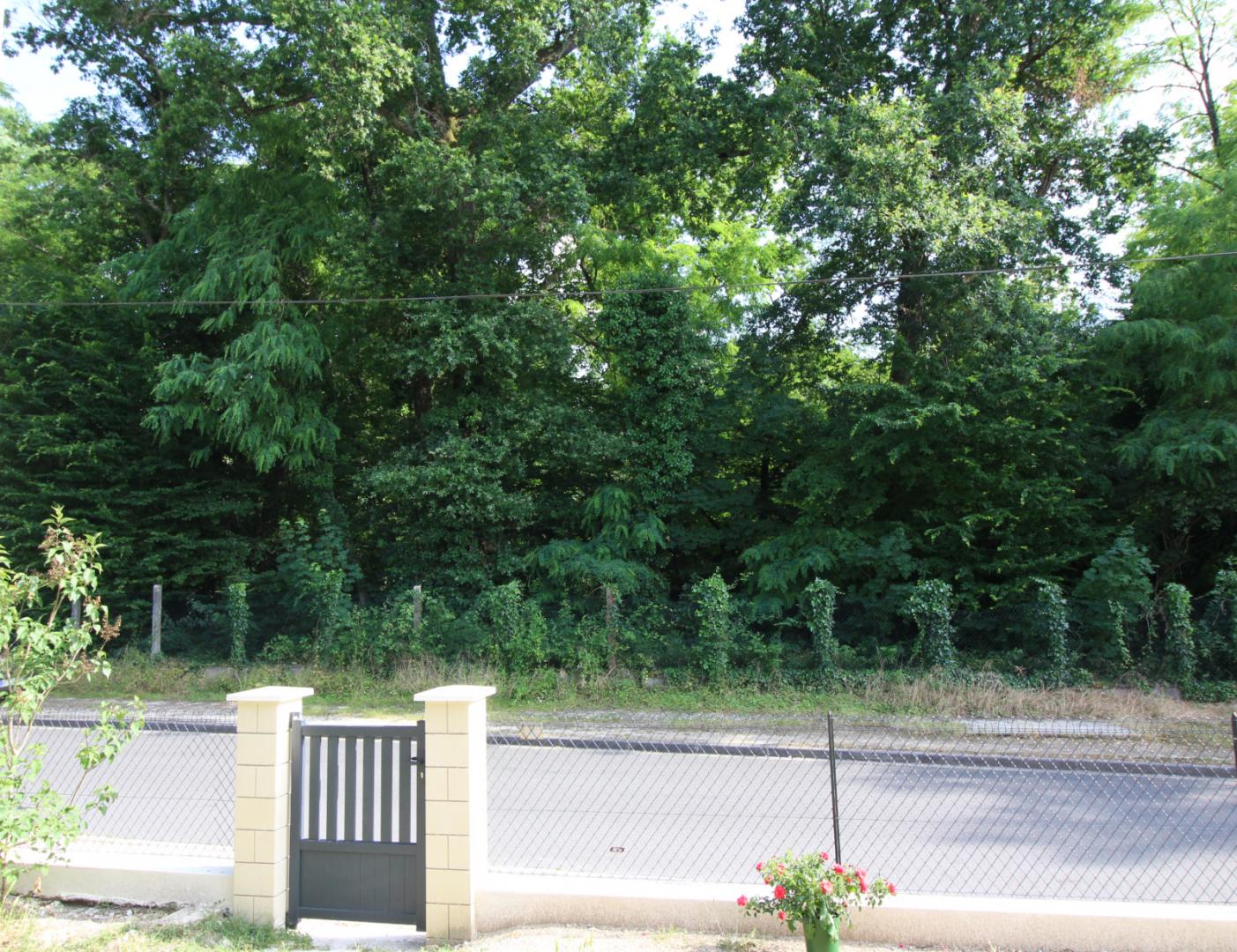 A Zélia, Le Taillan-Médoc - photo 5