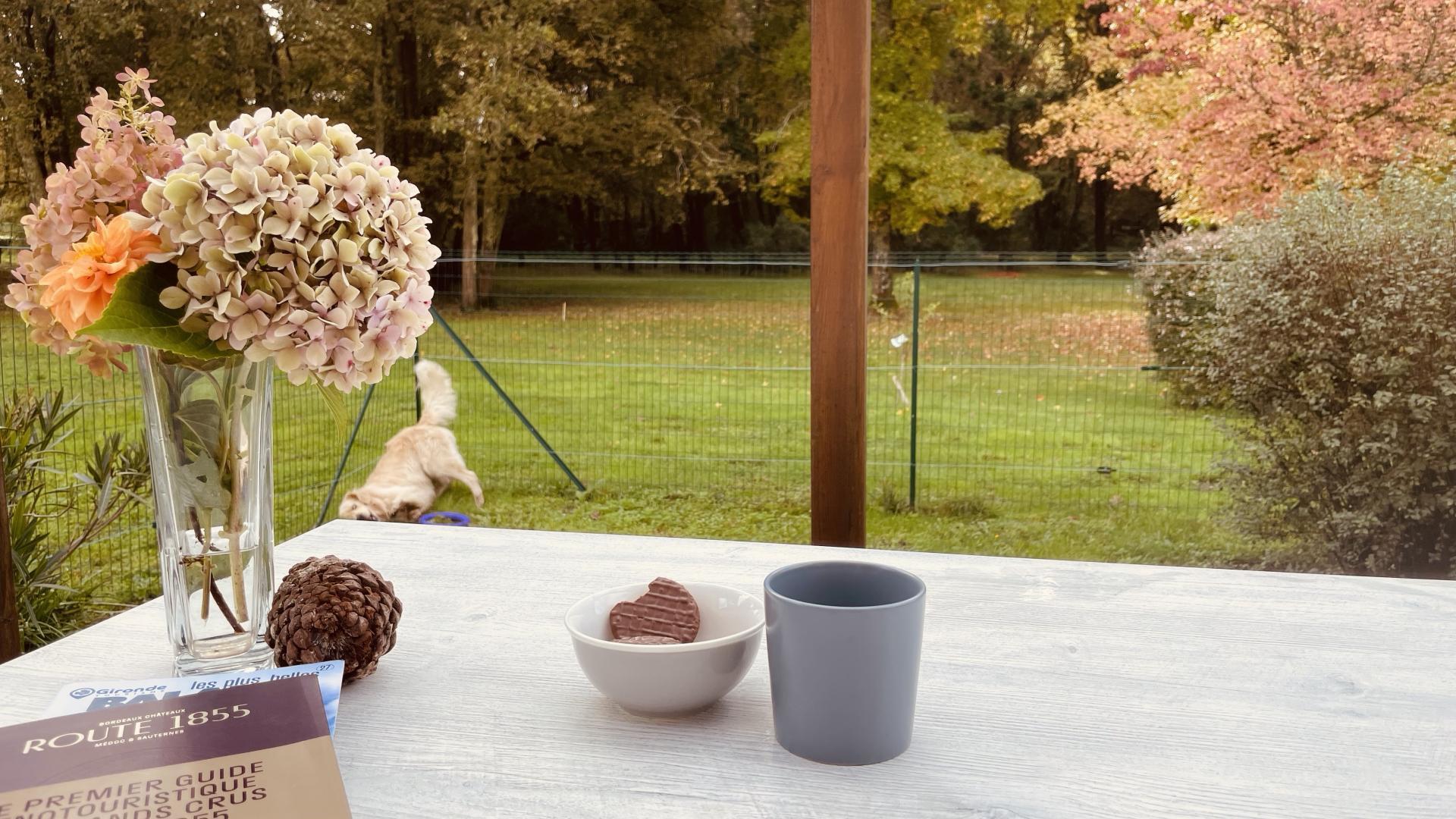 Gîte du Domaine du Ludeye, Listrac-Médoc - photo 9