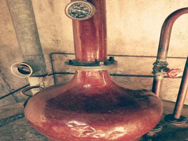 Les Vergers de Titoy - photo 2