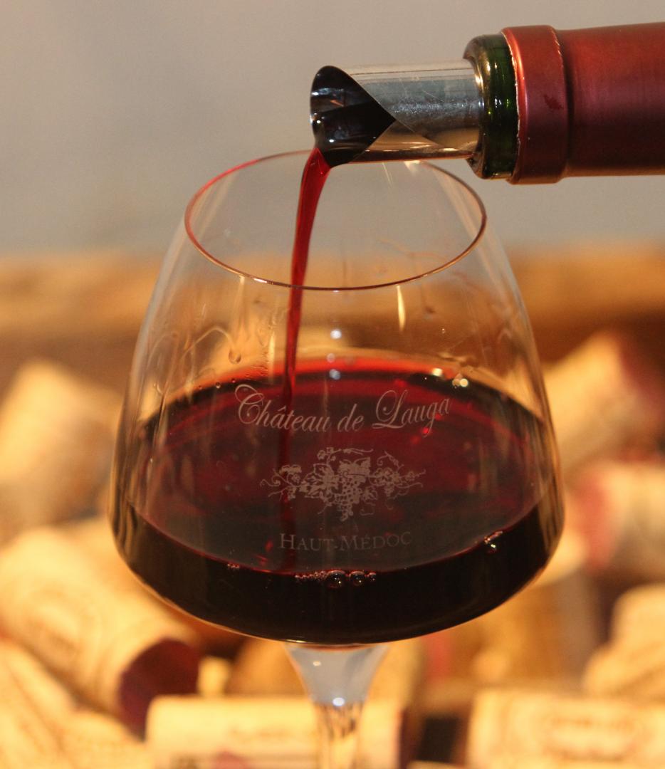 Gîte de Lauga, Cussac-Fort-Médoc - photo 11