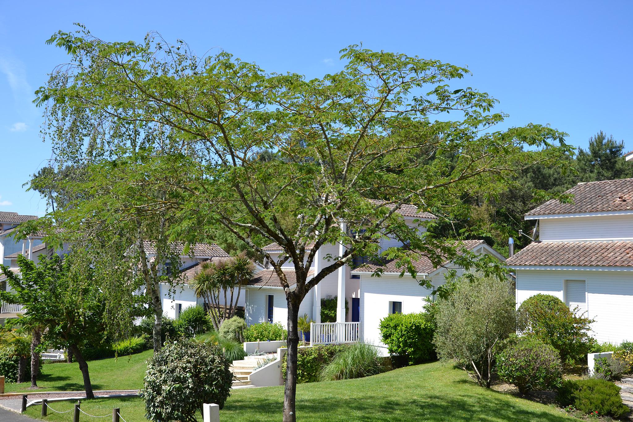 Villa Destordeur, Moliets-et-Maa - photo 25