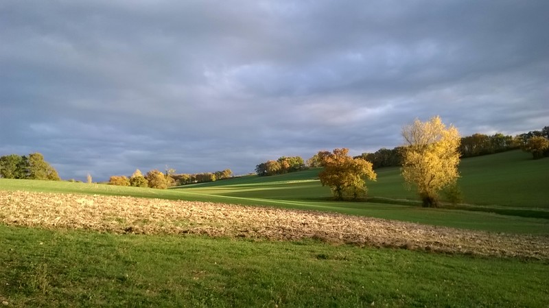 Le Logis du Pradet, Moncrabeau - photo 8