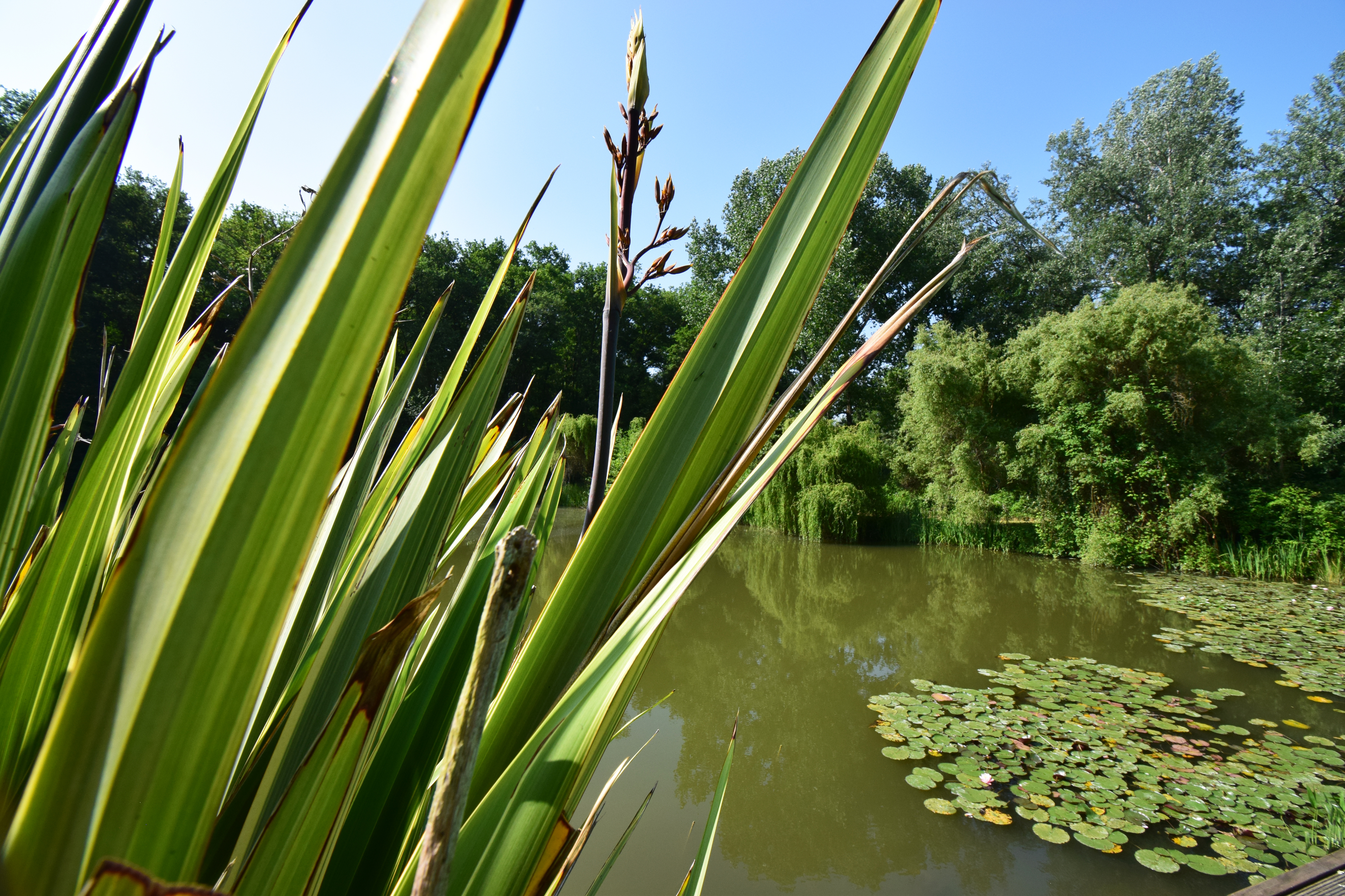 Gîte Le chalet, Sos - photo 5