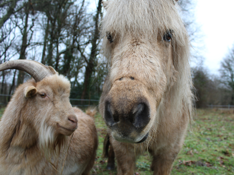 Gîte Padura - photo 5