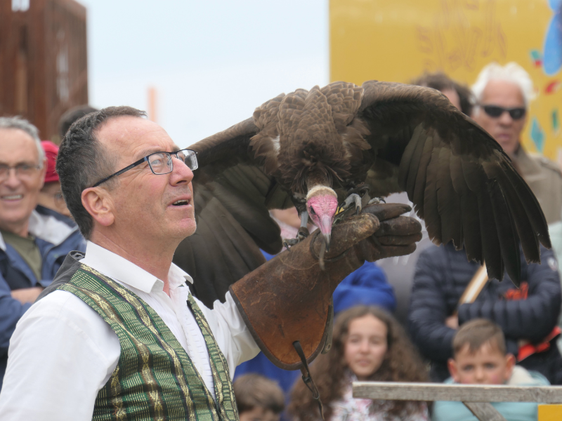 Fête des rapaces et "Spectacle de fauconnerie" à Terres d'Oiseaux, Braud-et-Saint-Louis - photo 5