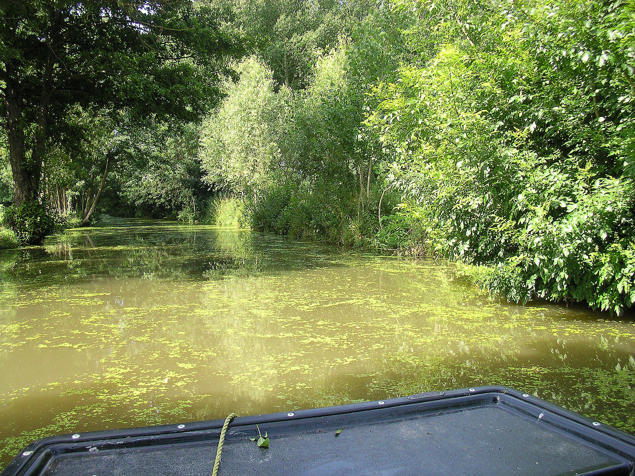 Domaine du Canal - Gîte de la Grange (G 260), Arçais - photo 7