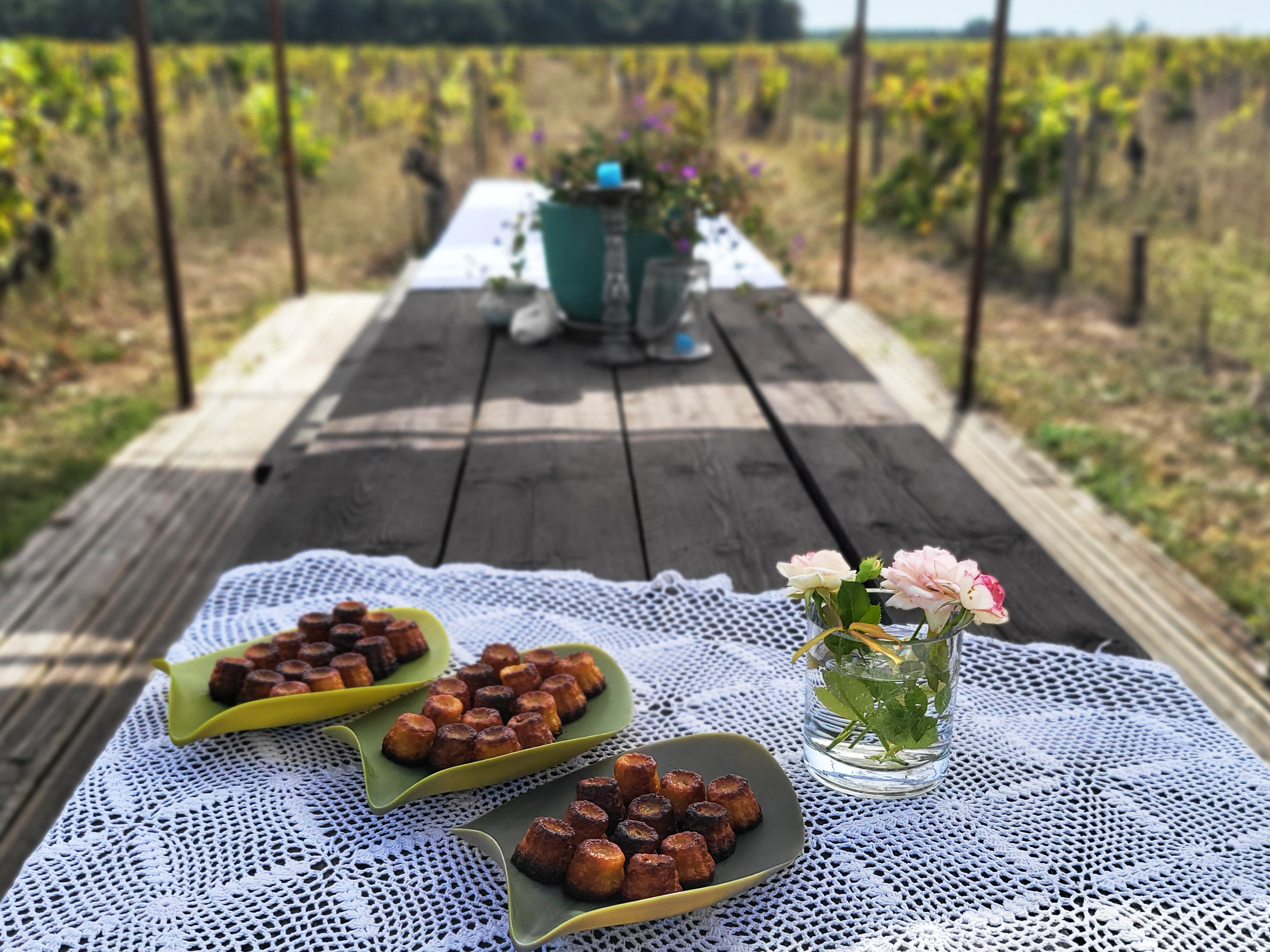 Château Hourtin-Ducasse