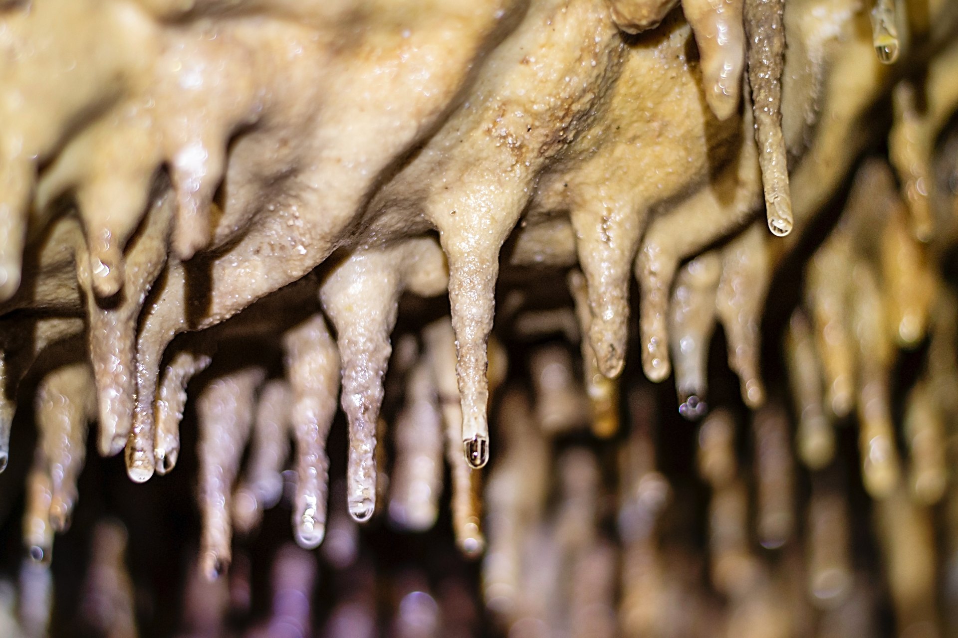 Grotte Célestine, Rauzan - photo 9