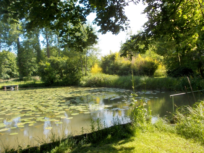 Moulin de Villeverneix - photo 2