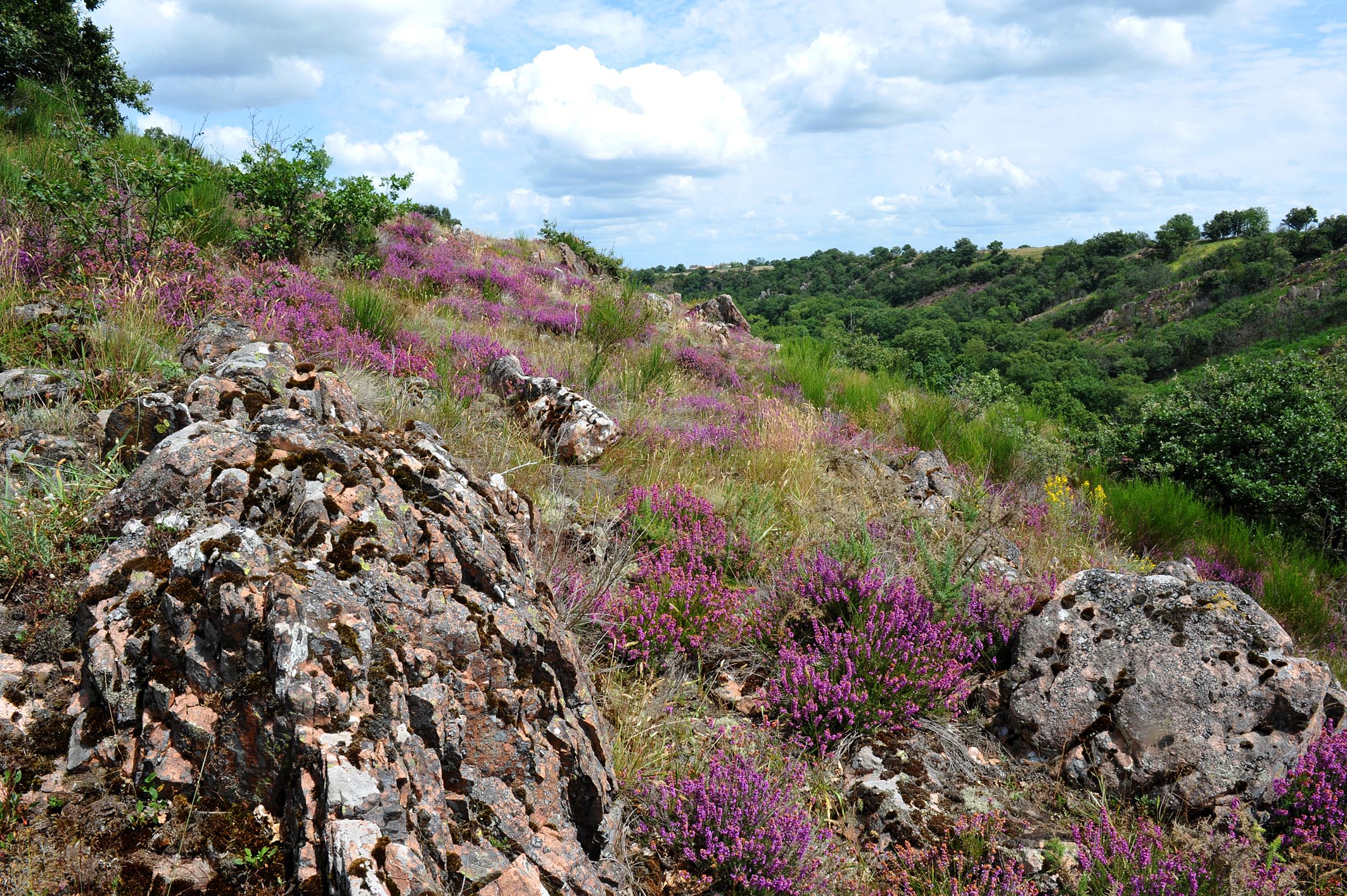 Vélo-Route "La Vallée de l'Argenton"-2, Argentonnay - photo 2