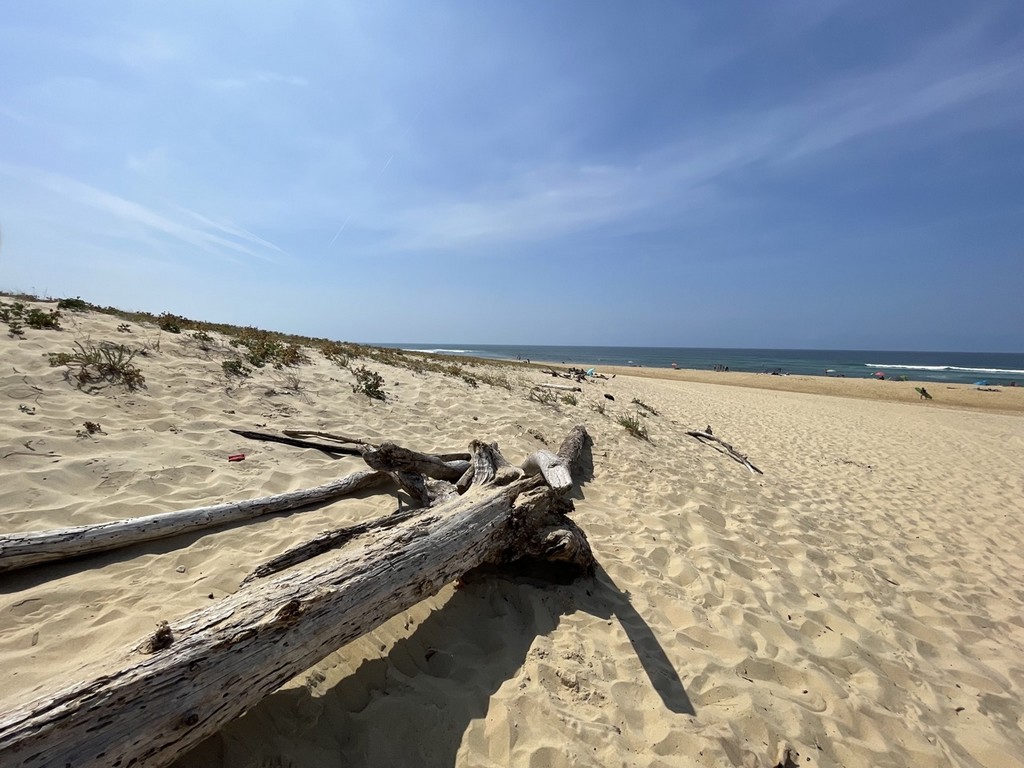 Villa sur la Dune Moliets, Moliets-et-Maa - photo 3