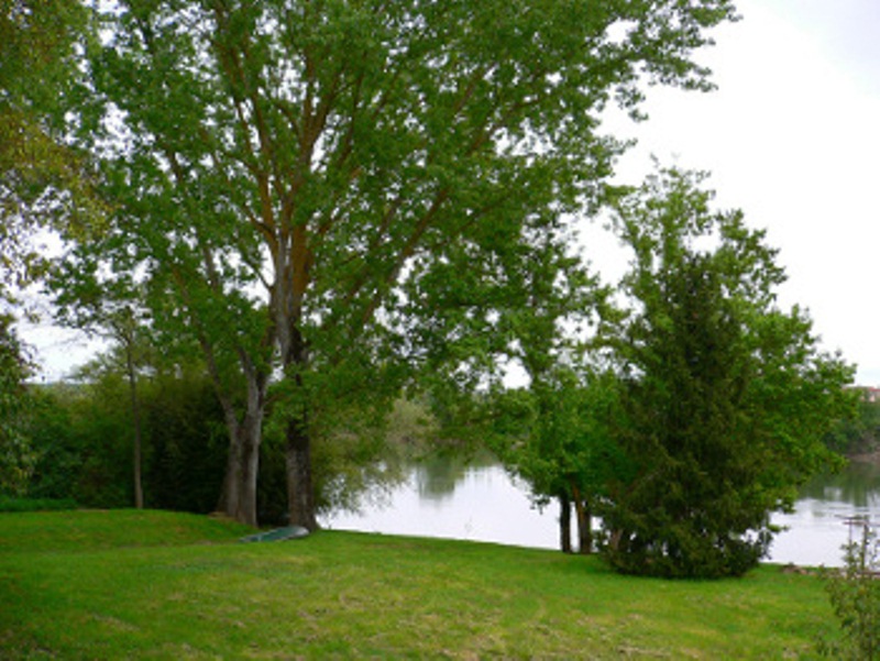 Gîte Au Riolle, Jusix - photo 7