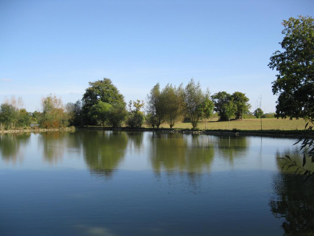 La Chenelière, Moncoutant-sur-Sèvre - photo 3