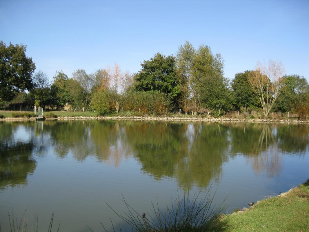 La Chenelière, Moncoutant-sur-Sèvre - photo 2