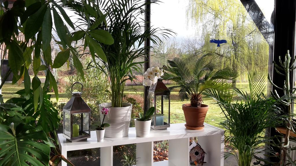 La Maison Lotte, Rion-des-Landes - photo 24