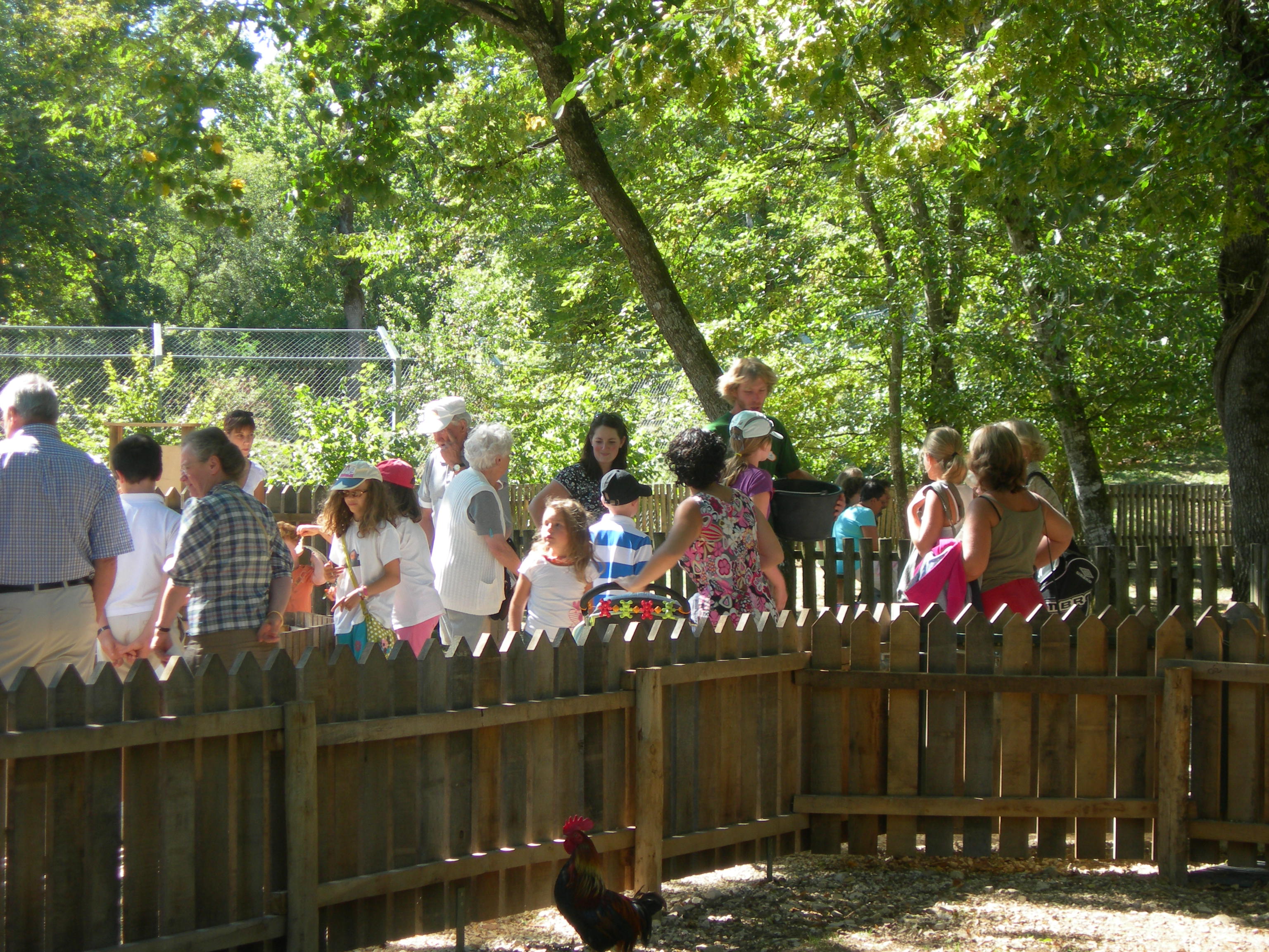 Parc animalier Zoodyssée, Villiers-en-Bois - photo 12