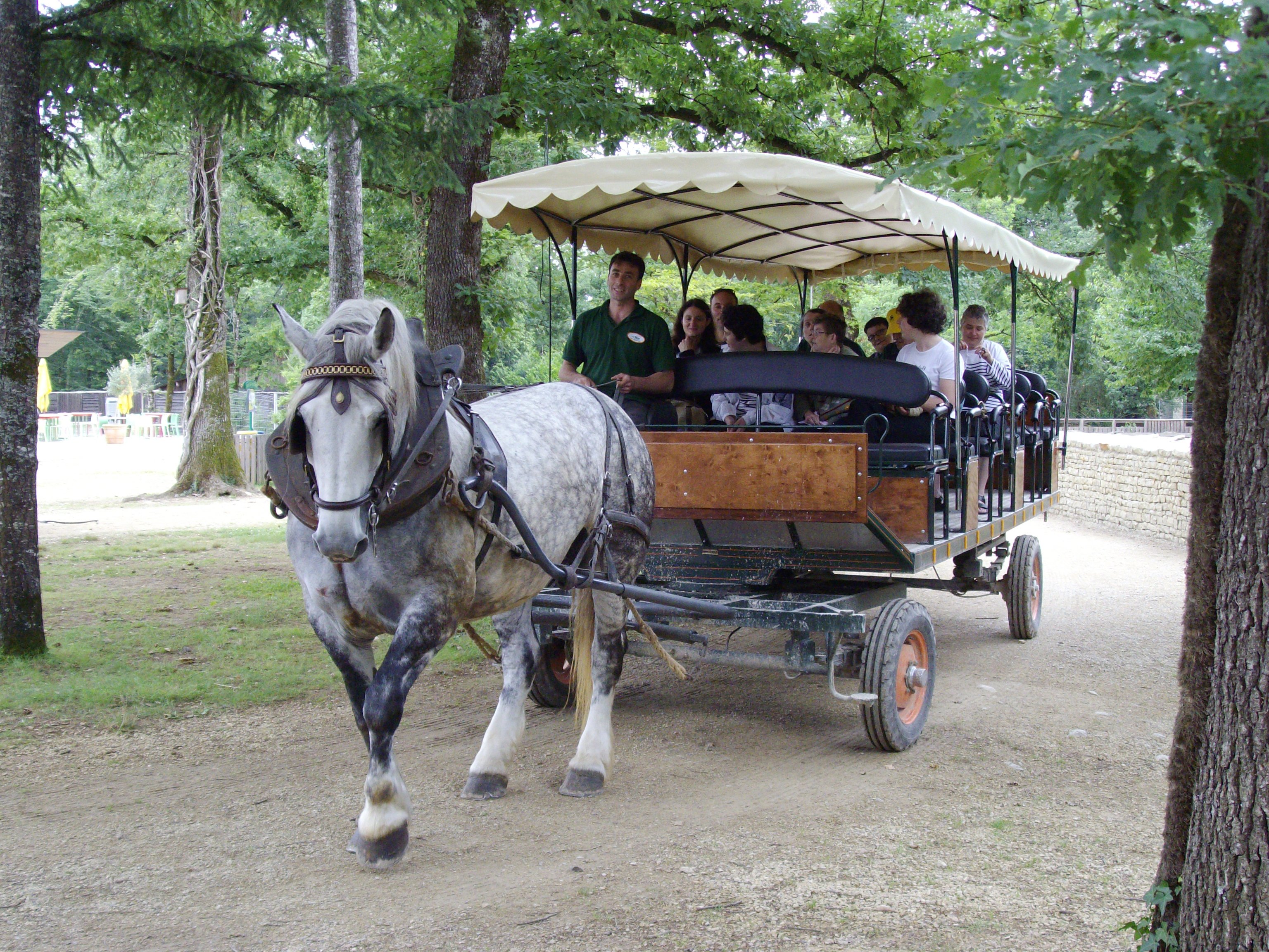 Parc animalier Zoodyssée, Villiers-en-Bois - photo 4