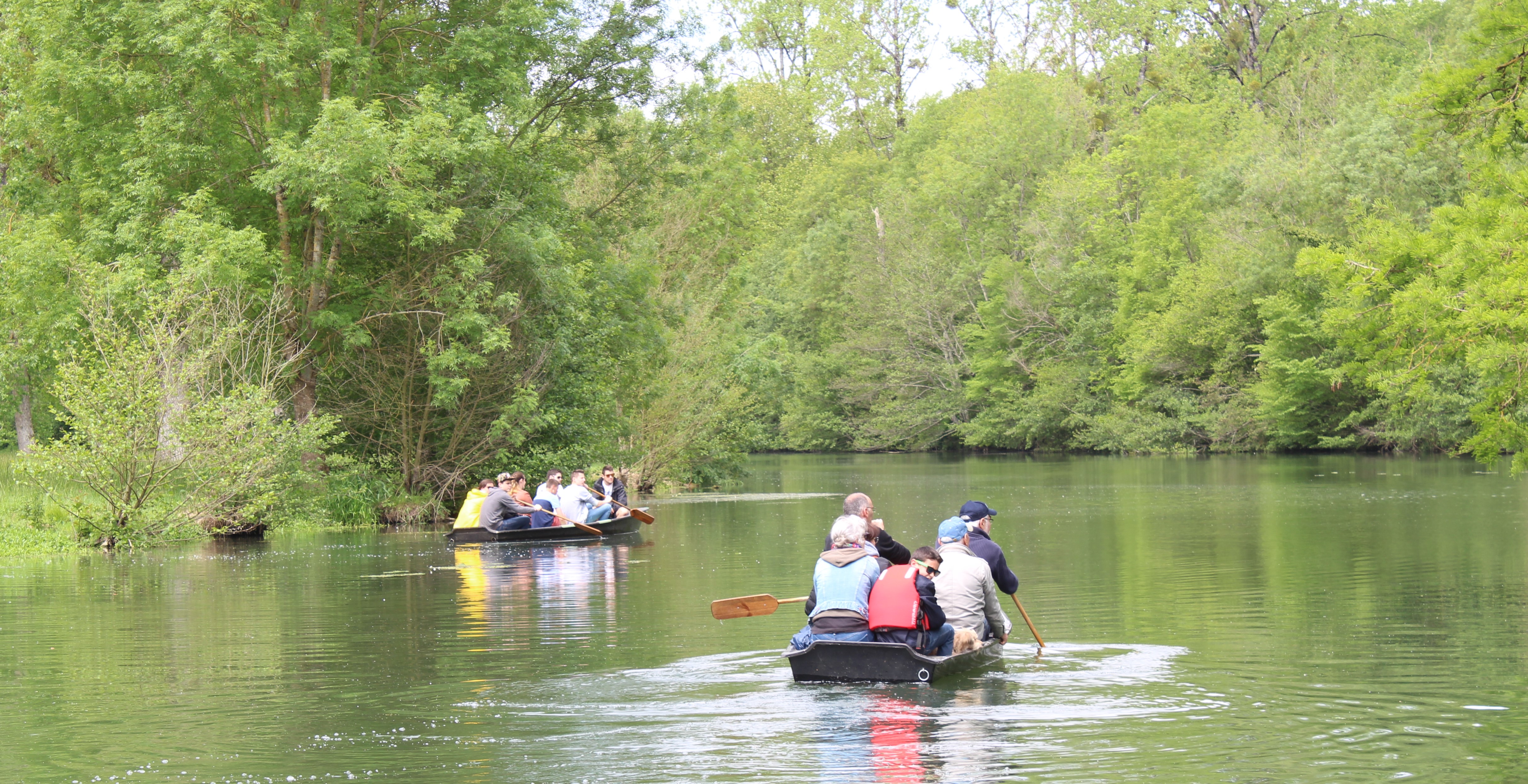 Domaine du Château des Loups - La Maison du Gardien - photo 3
