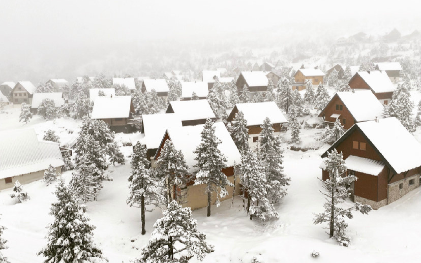 Flor de Montanhas, Arette - photo 12