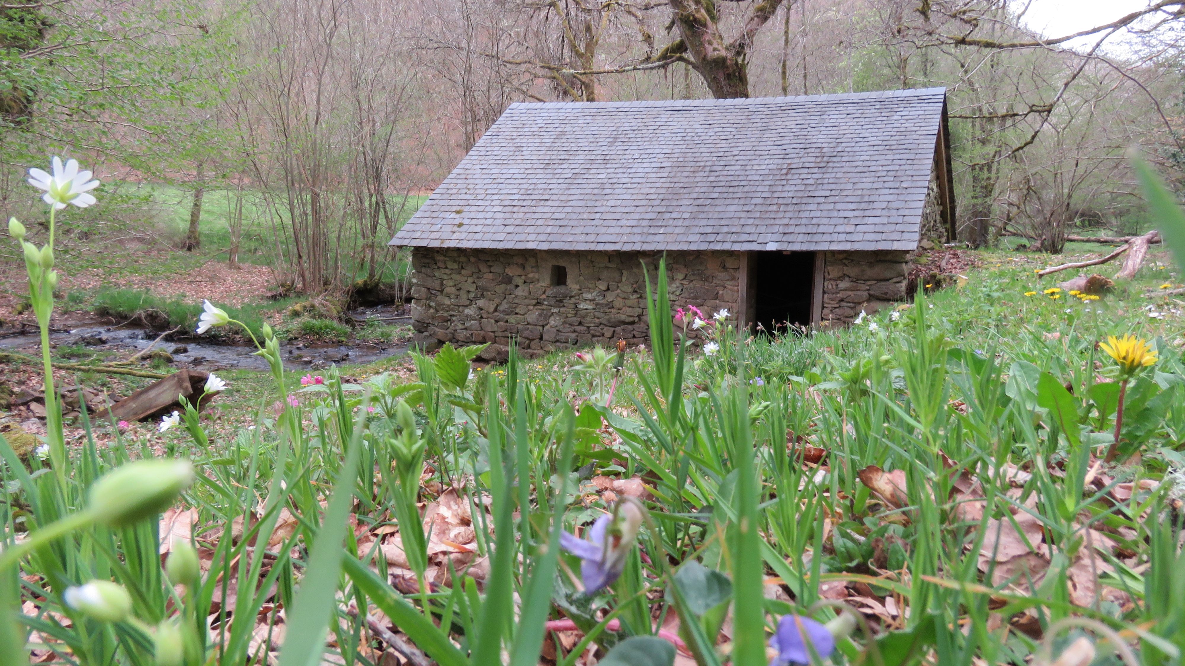 Le moulin de Louzelergue, Clairavaux - photo 2