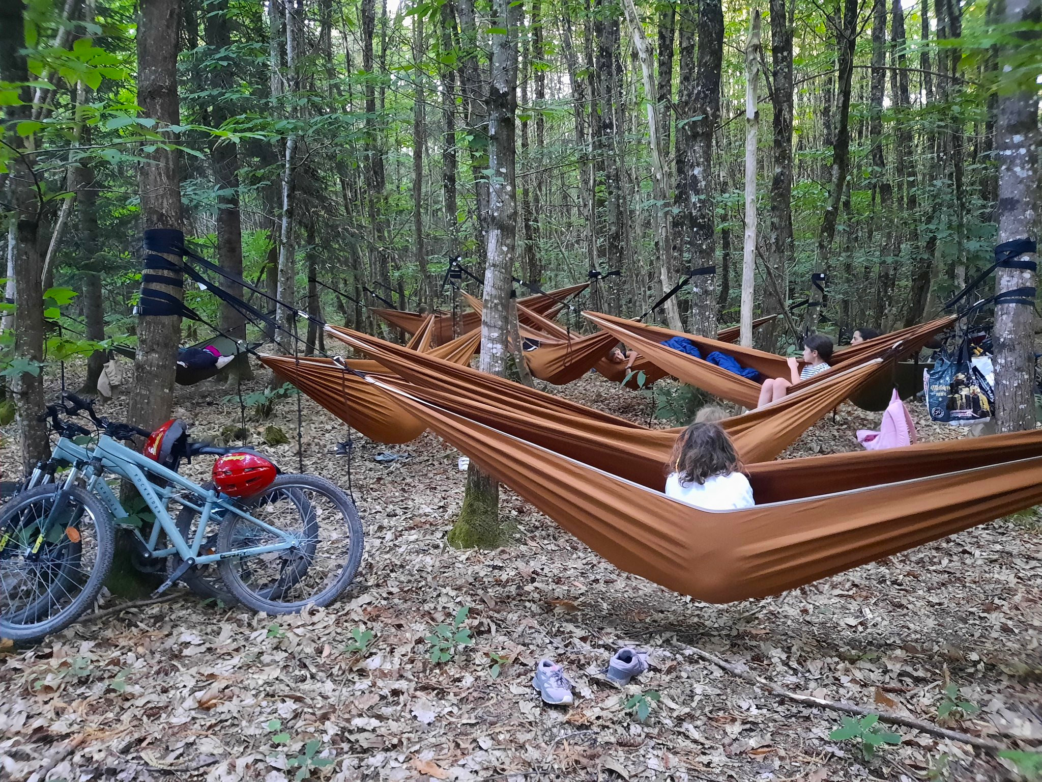 Les Grimpereaux de l’Hermitain - photo 5