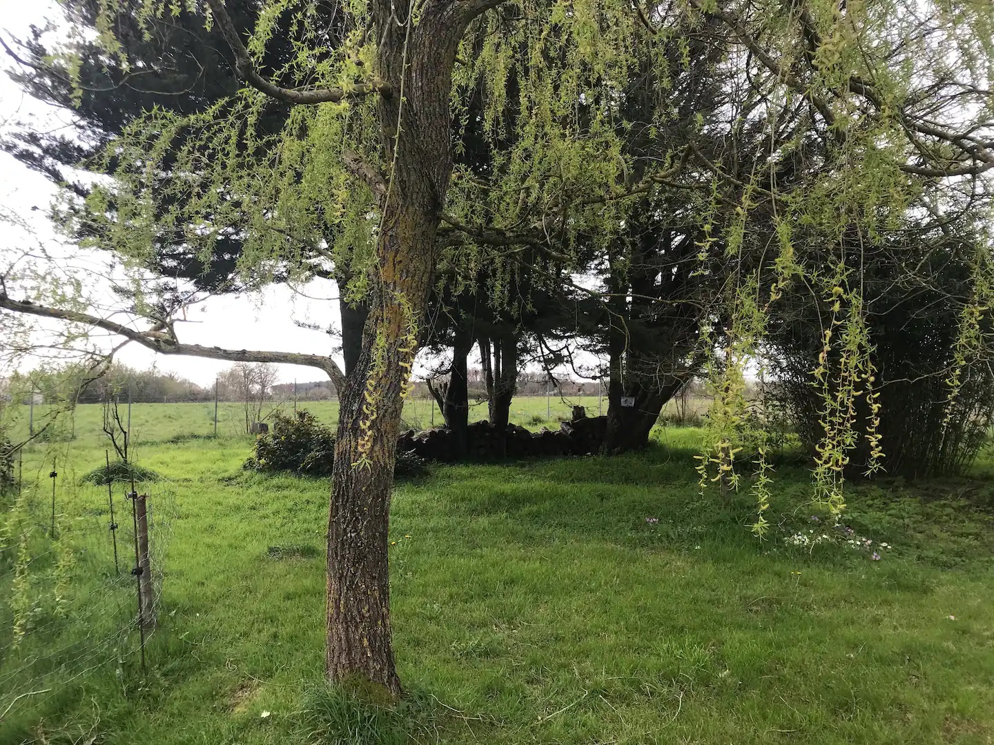 Mme FORT Bérangère, Val en Vignes - photo 6