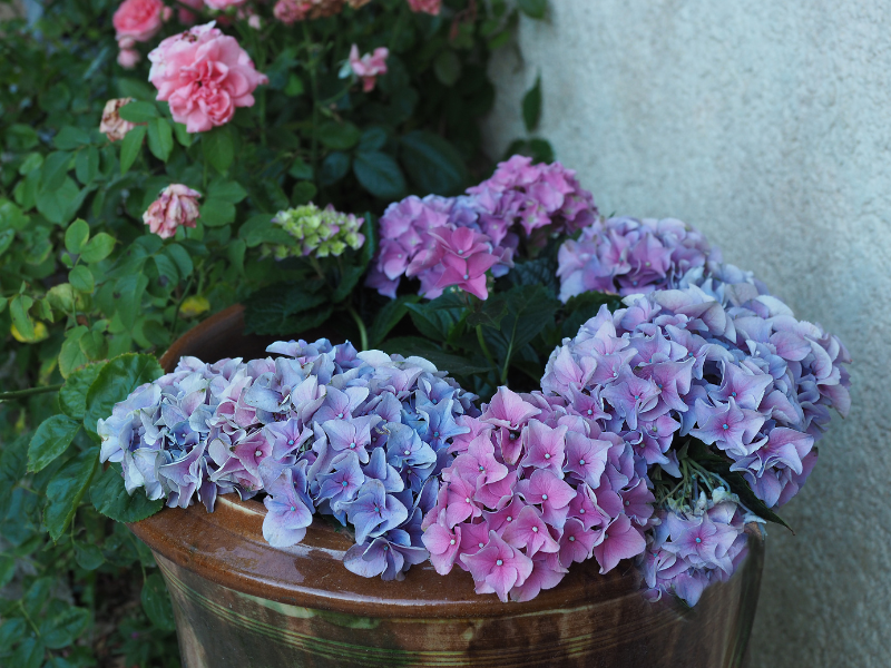 Le Clos des Noaillettes, Puybarban - photo 6