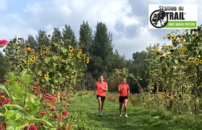 La Quarantaine - Station de Trail