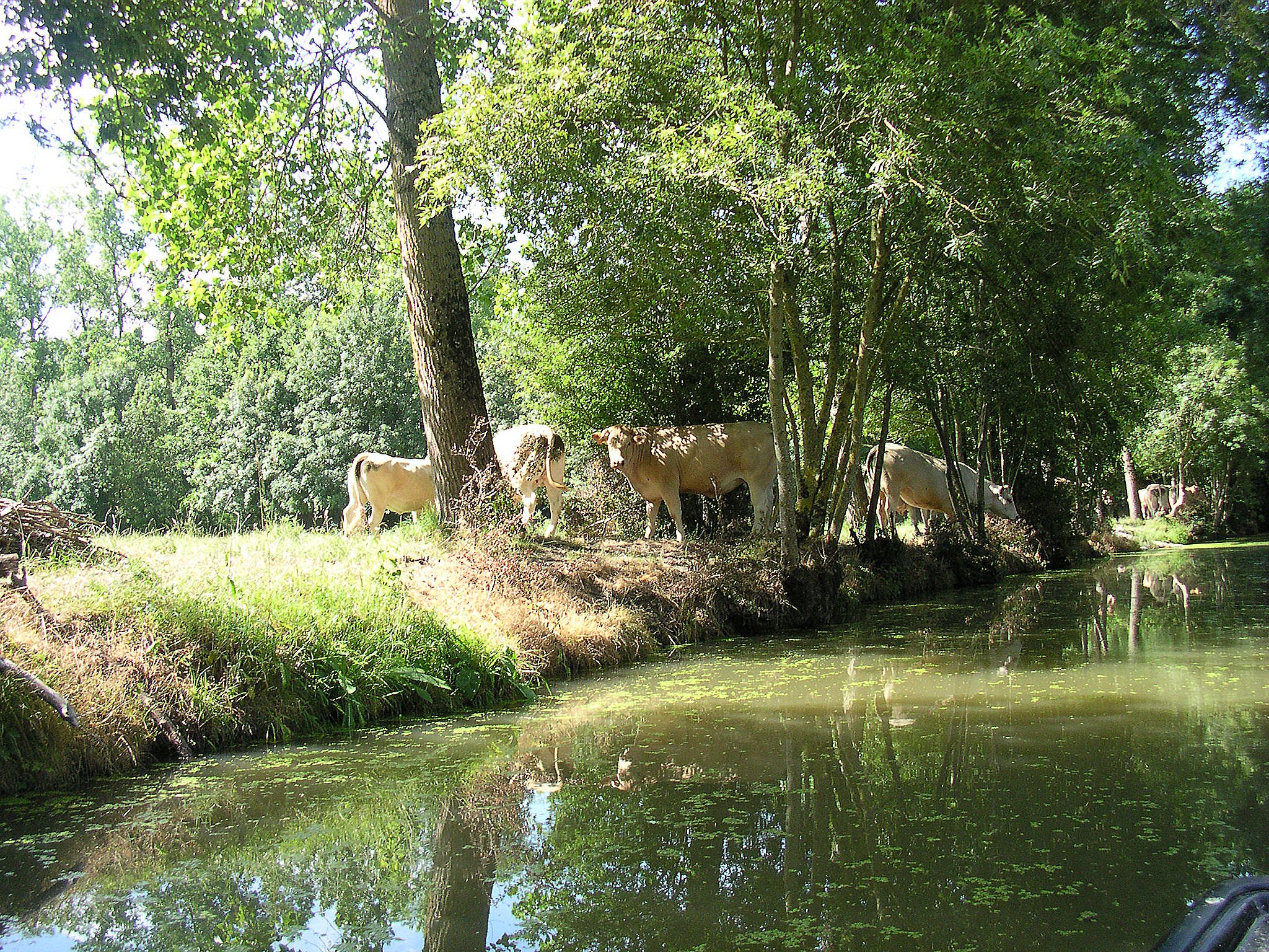 Domaine du Canal - Gîte de la Grange (G 260) - photo 2
