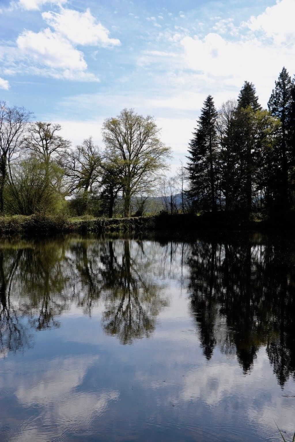 Meublé Le Clos, Marsac - photo 2