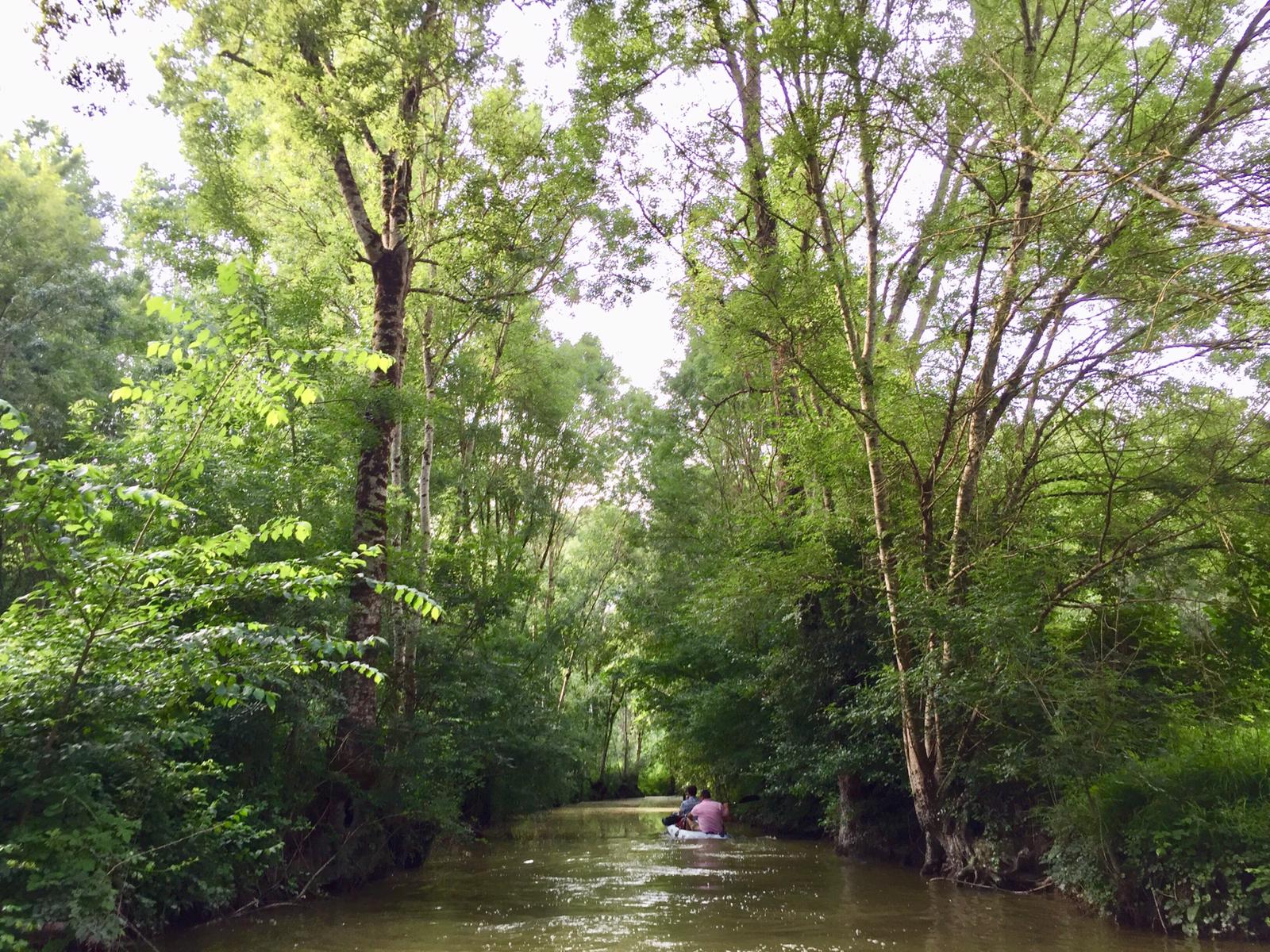 La Villa Coco, Saint-Hilaire-la-Palud - photo 2