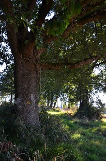 Moncaut, balade en Gascogne, Moncaut - photo 5