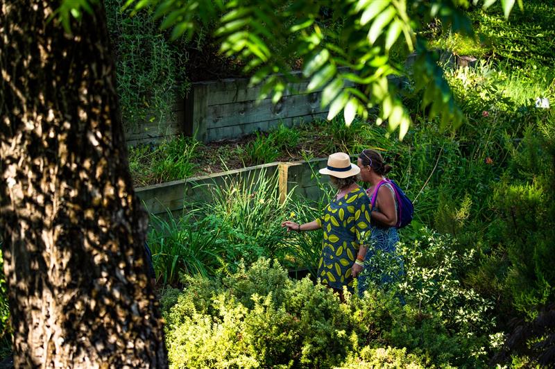 Jardin Botanique