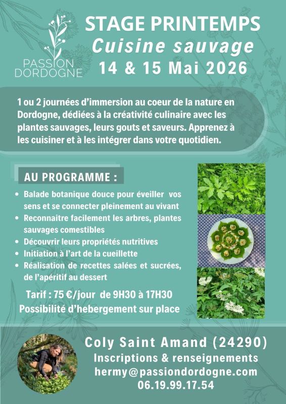 Stage de cuisine sauvage, Coly-Saint-Amand - photo 2