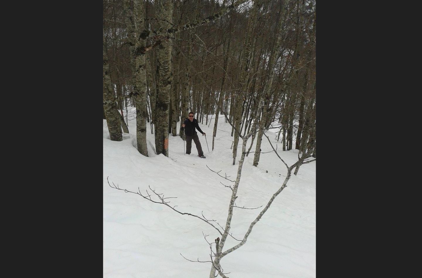 Circuit raquette Le Bois des Crétets